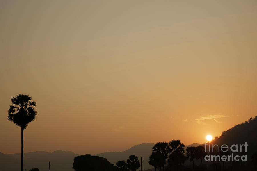 Saluting the Sun Photograph by Kiran Joshi