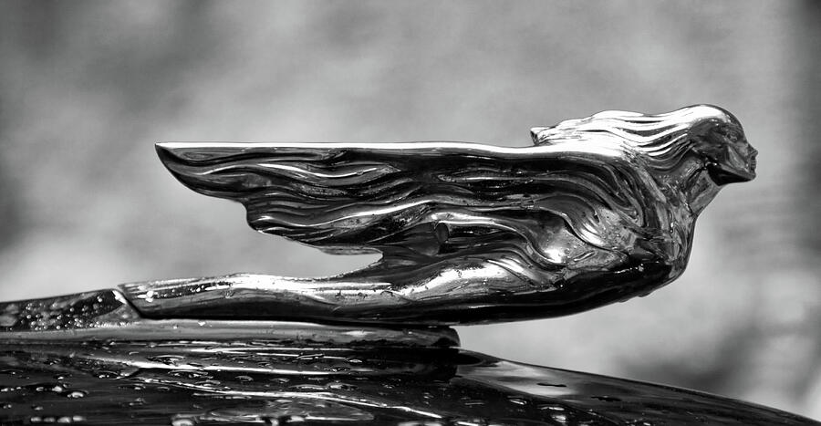 Salvador Dali Cadillac Emblem Photograph by Tatiana Travelways