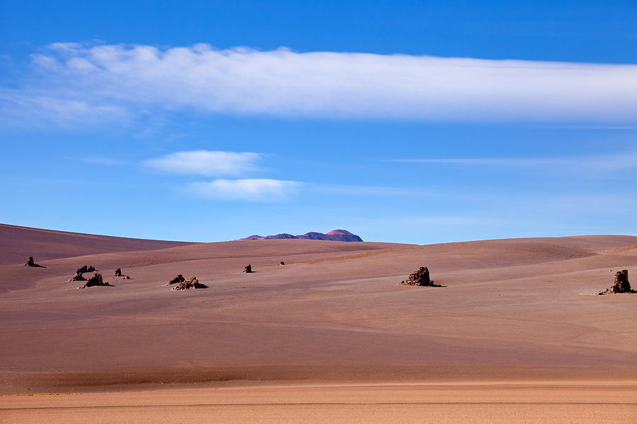 Salvador Dali Desert Photograph by Aivar Mikko