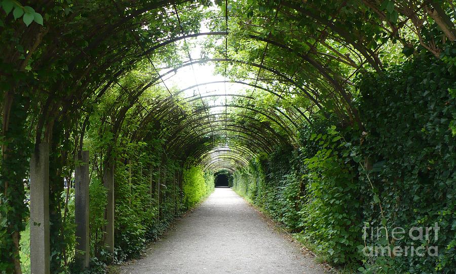 Salzburg Garden Arbor Photograph by Carol Groenen