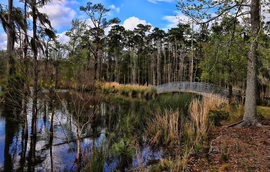 Sam Houston Jones State Park 1 Photograph by Judy Vincent