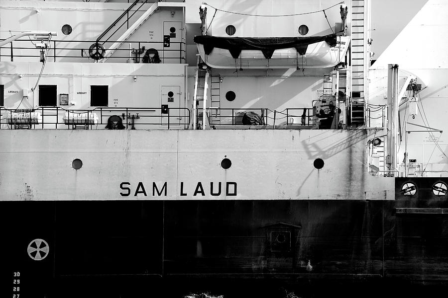 Sam Laud Closeup BW 111717 Photograph by Mary Bedy