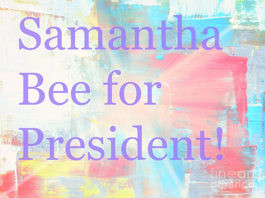 Samantha Bee For President Photograph by Kelly Awad
