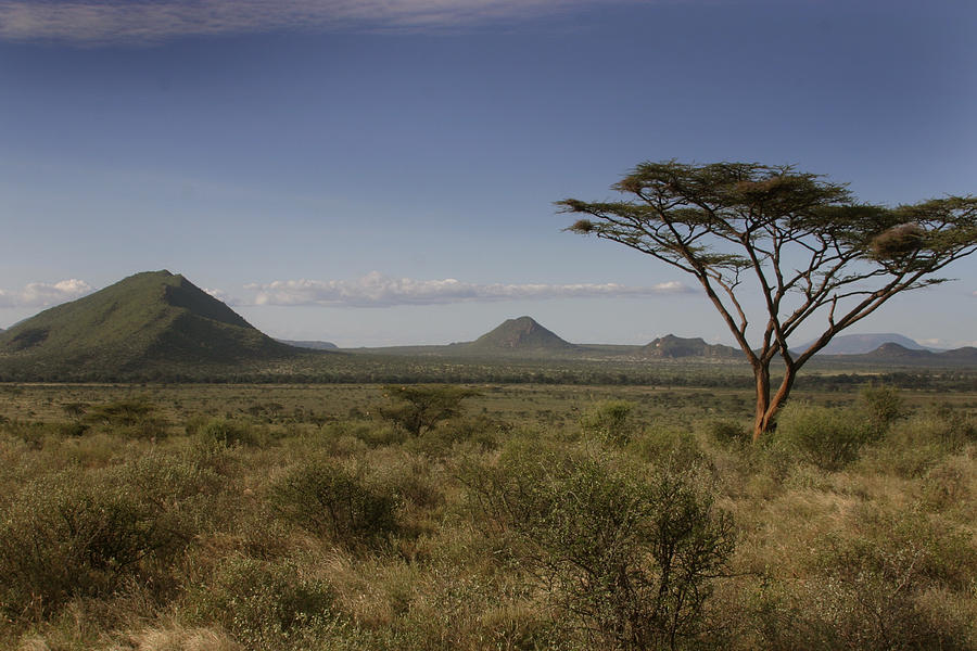 Samburu Kenya Photograph by Joseph G Holland