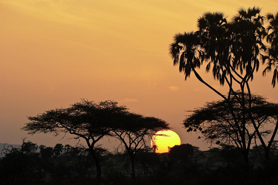 Nature Photograph - Samburu Sunrise by Michele Burgess