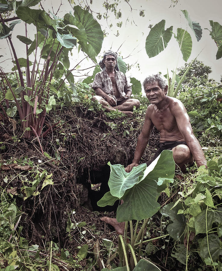 Samoa Photograph - Samoan Planters by Paki OMeara Samoa Photograph - Samoan Planters by Paki OMeara