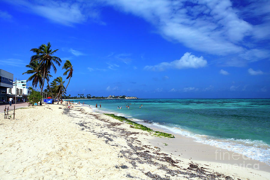 San Andres Island Beach View Photograph by John Rizzuto