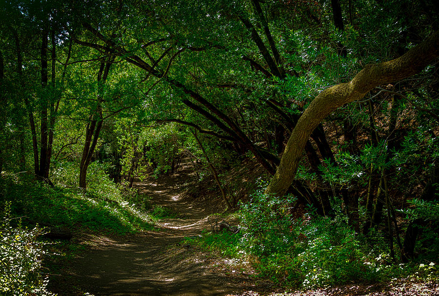 San Antonio Ranch Photograph by Rafael Jimenez - Fine Art America