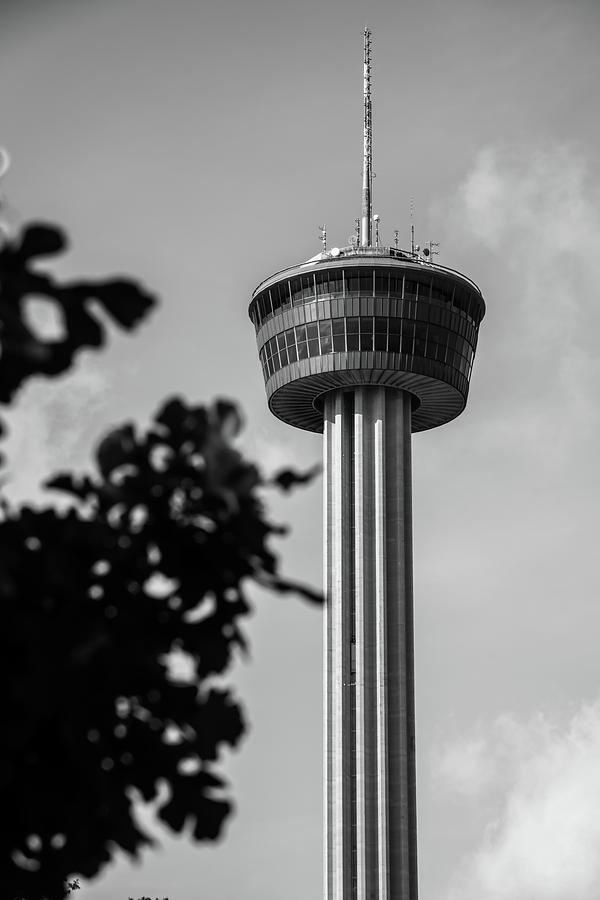 San Antonio Tower Of The Americas - Black And White Photograph