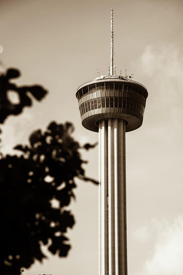 San Antonio Tower of the Americas - Sepia Photograph by Gregory Ballos