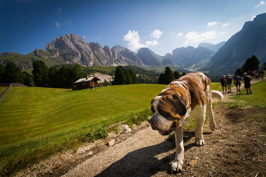 San Bernardo in the Mountains Photograph by Matteo Pedala - Fine Art ...