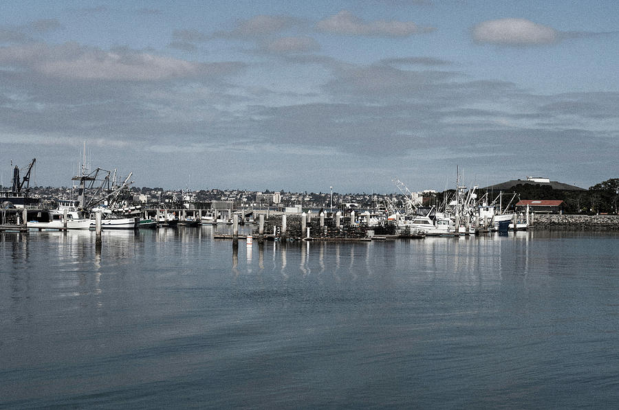 San Diego Fishing Fleet Photograph by William Kimble