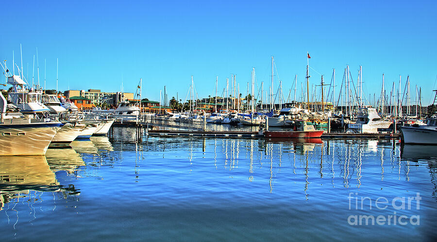 San Diego Harbor Photograph by Robert Bales