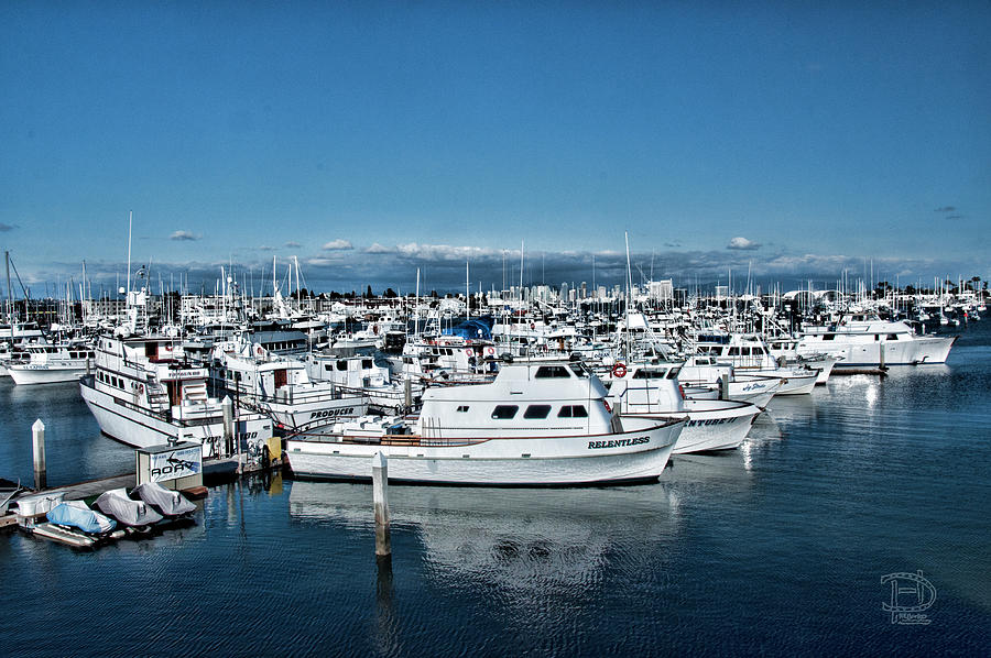  San Diego Marina and City Skyline Photograph by Daniel Hebard