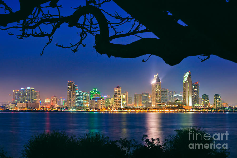 San Diego Skyline from Bay View Park in Coronado Photograph by Sam Antonio