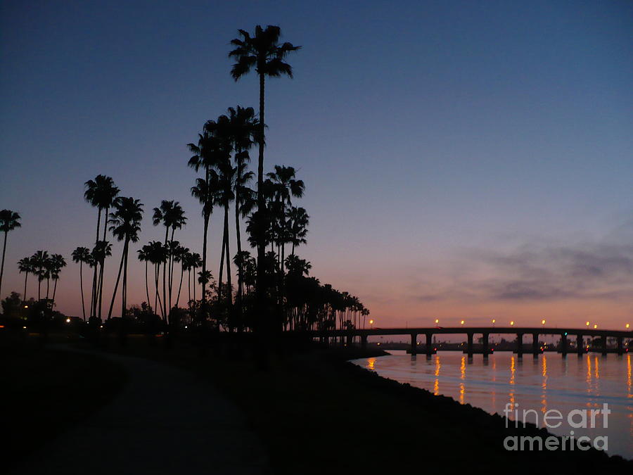 San Diego Sunset with Palm Trees Photograph by Carol Groenen