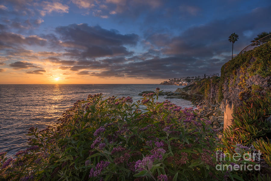 San Digo Beach Photograph by Walid A | Fine Art America