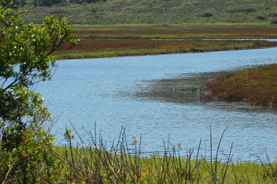 San Elijo Lagoon Photograph