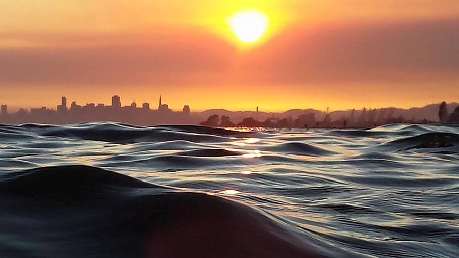 San Francisco Bay Photograph by Nimmi Solomon