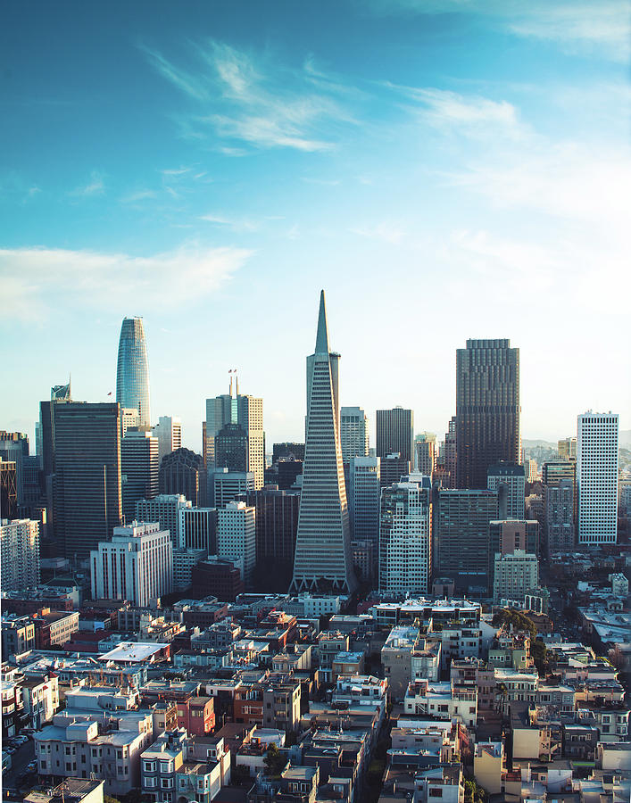 San Francisco Blues Photograph by Sonja Quintero - Fine Art America