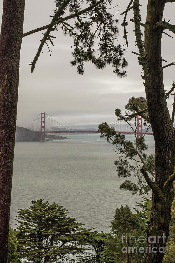 San Francisco California Photograph by David Bearden
