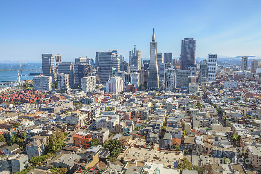 San Francisco Financial District Photograph by Benny Marty