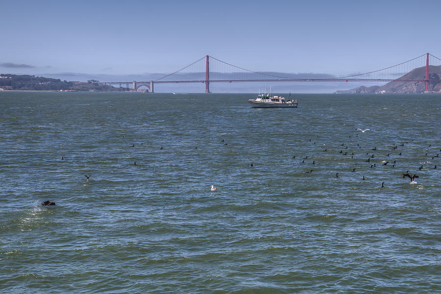 San Francisco Fishermen Photograph by Kristina Rinell