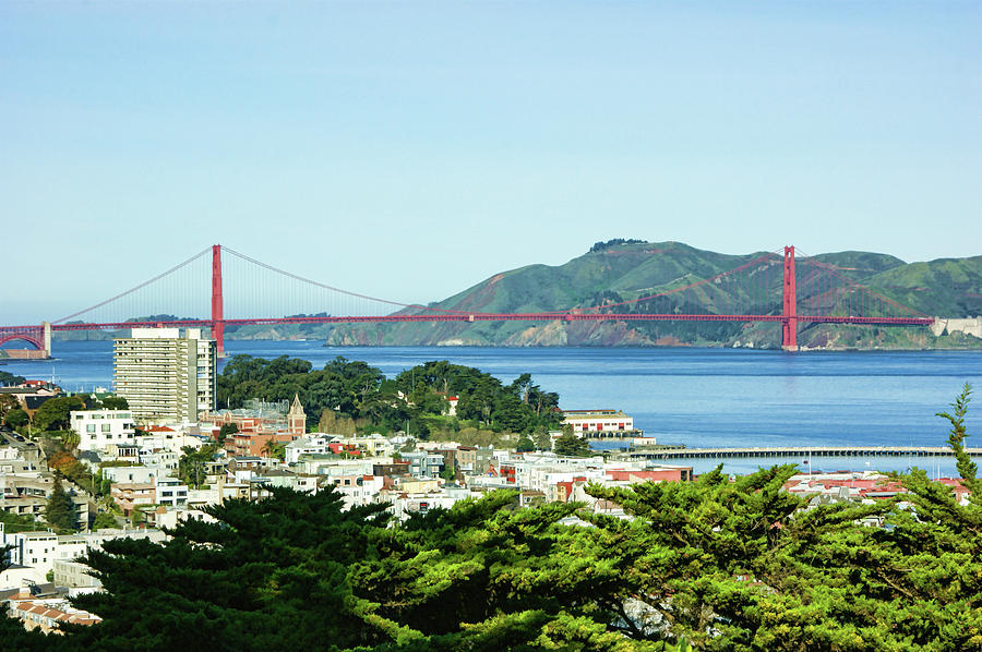 San Francisco Golden Gate Bridge Panorama Painting by Georgia Mizuleva