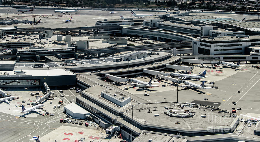 San Francisco International Airport Aerial Photograph by David Oppenheimer