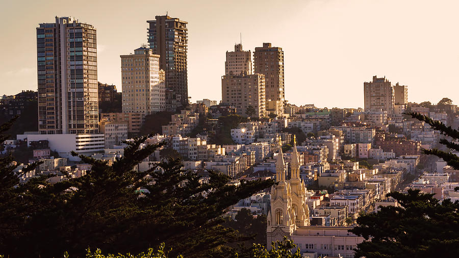 San Francisco Light Photograph by Nisah Cheatham