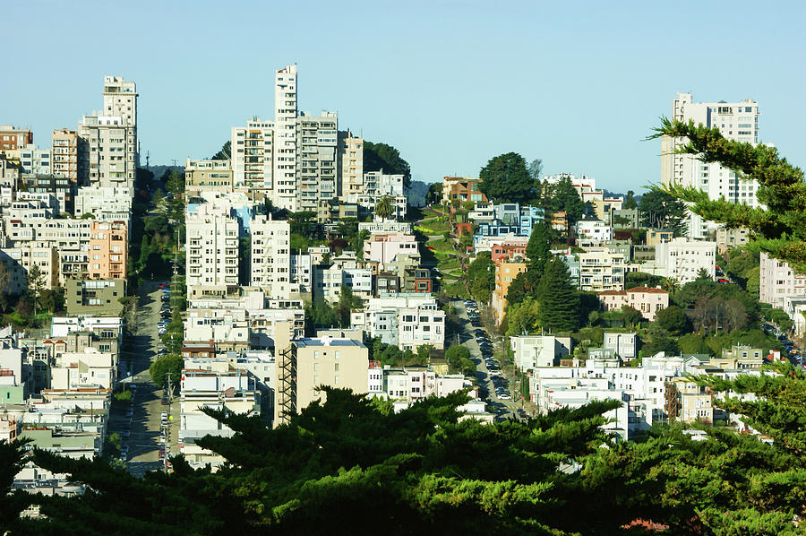 San Francisco Lombard Street Vista Painting by Georgia Mizuleva