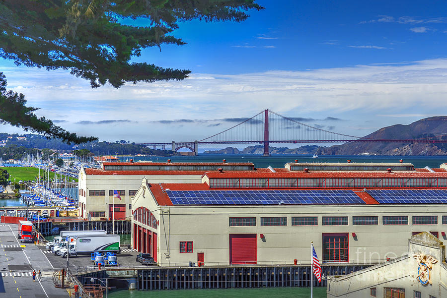 San Francisco Marina Wharf Bridge Photograph by David Zanzinger