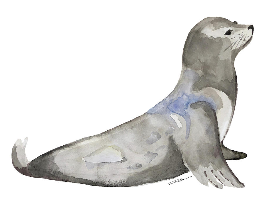 The Painted Sea Lions of San Francisco