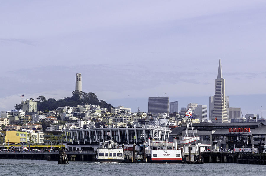 San Francisco Skyline Photograph by Janet  Kopper