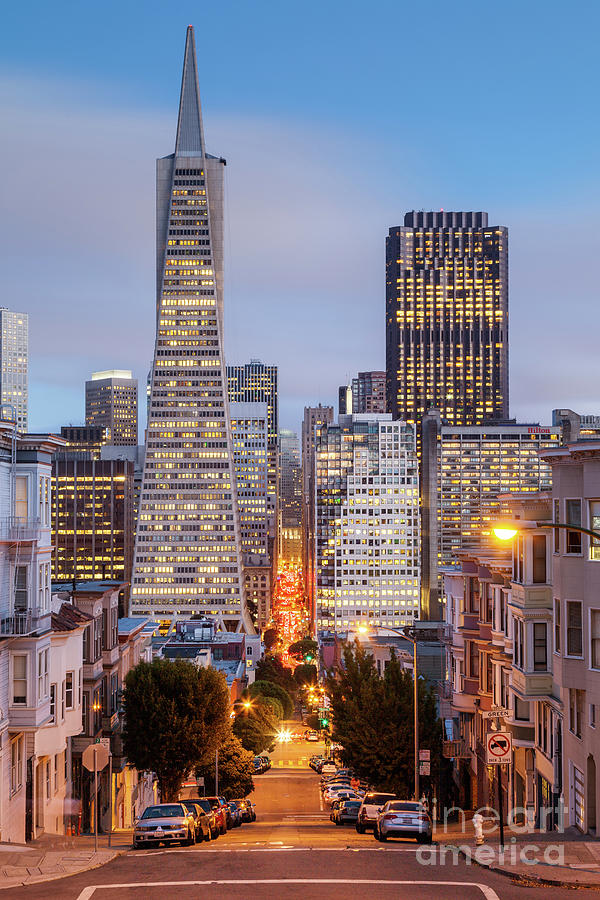 San Francisco Skyline Photograph by Martin Williams - Fine Art America