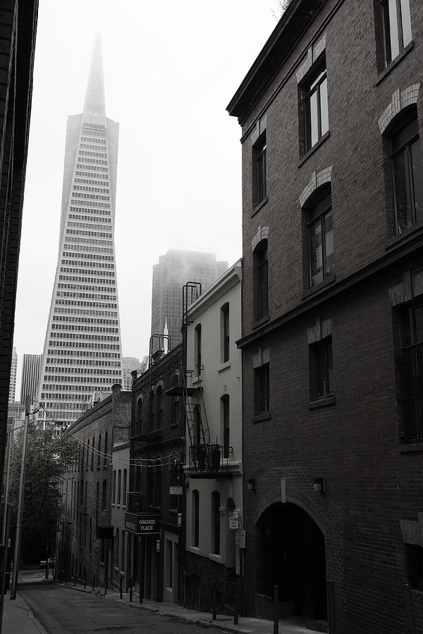 San Francisco Street Photograph by Eric Foltz