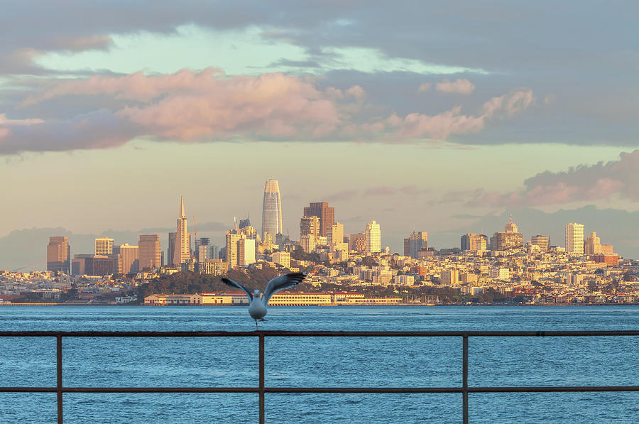 San Francisco Sunset Photograph by Jonathan Nguyen