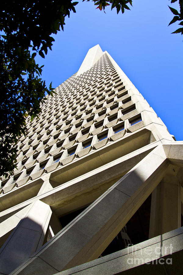 San Francisco Photograph - San Francisco Transamerica Pyramid Building by ELITE IMAGE photography By Chad McDermott