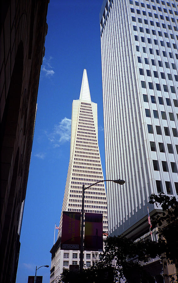 San Francisco - Transamerica Pyramid Building Photograph by Frank Romeo