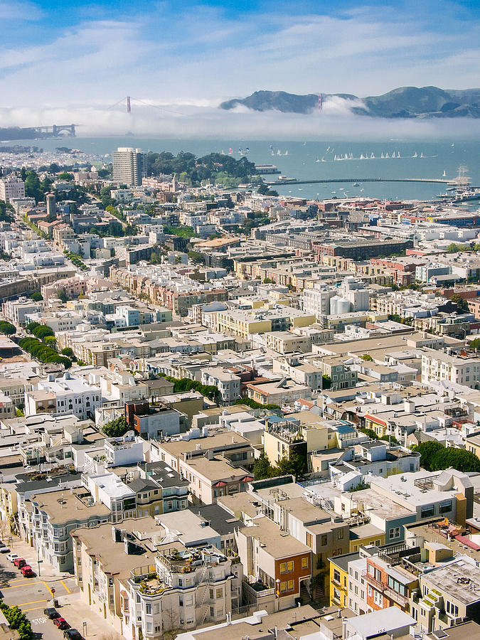 San Francisco Vista Photograph by Mike Evangelist