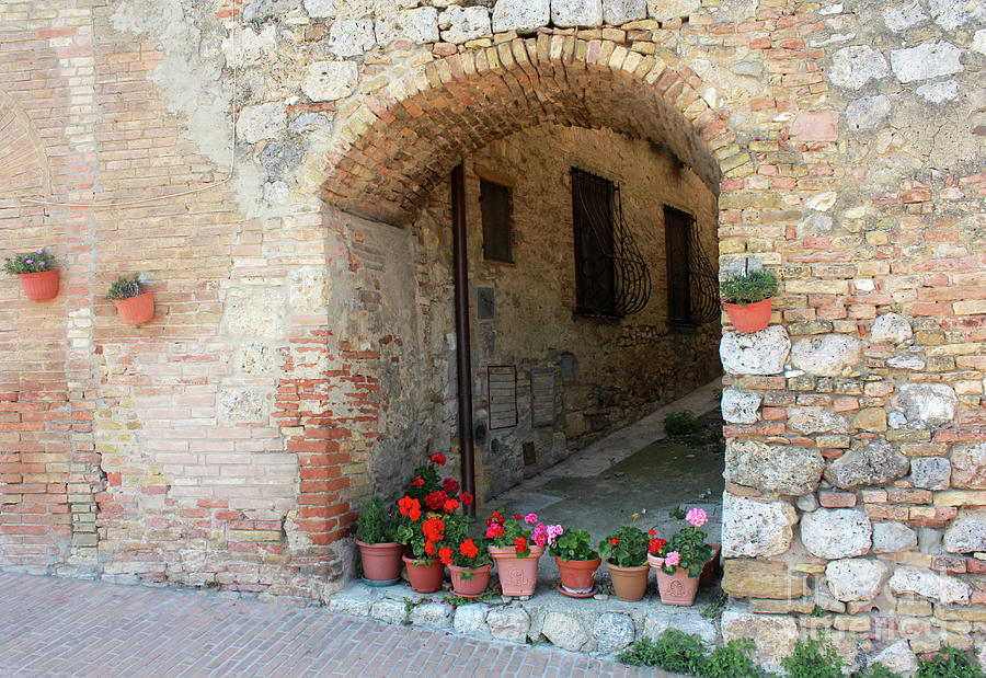 San Gimignano flowers in Archway Photograph by Adam Long