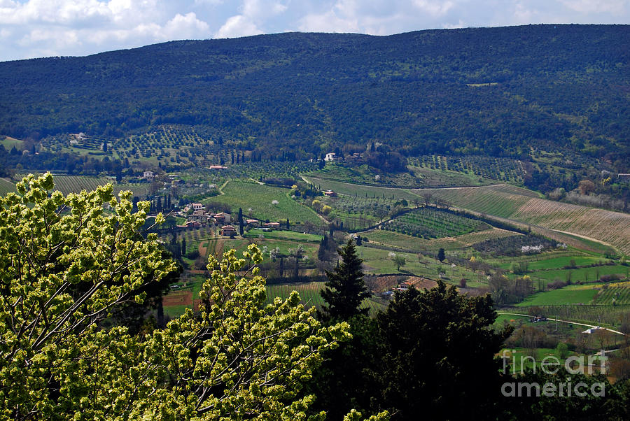 San Gimignano Valley Tuscany Italy - Toscana Italia Photograph by Carlos Alkmin