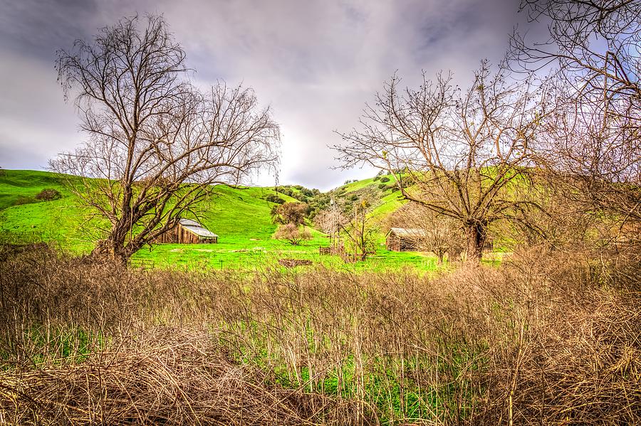 San Joaquin Barn Photograph by Spencer McDonald