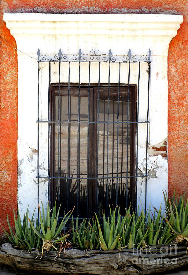 San Jose Del Cabo Window 4 Photograph by Randall Weidner