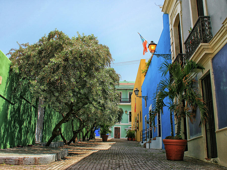 San Juan Callejon Tamarindo Photograph