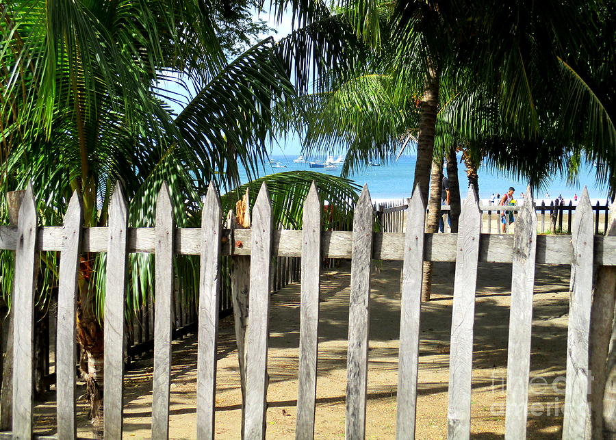 San Juan Del Sur Fence 2 Photograph by Randall Weidner