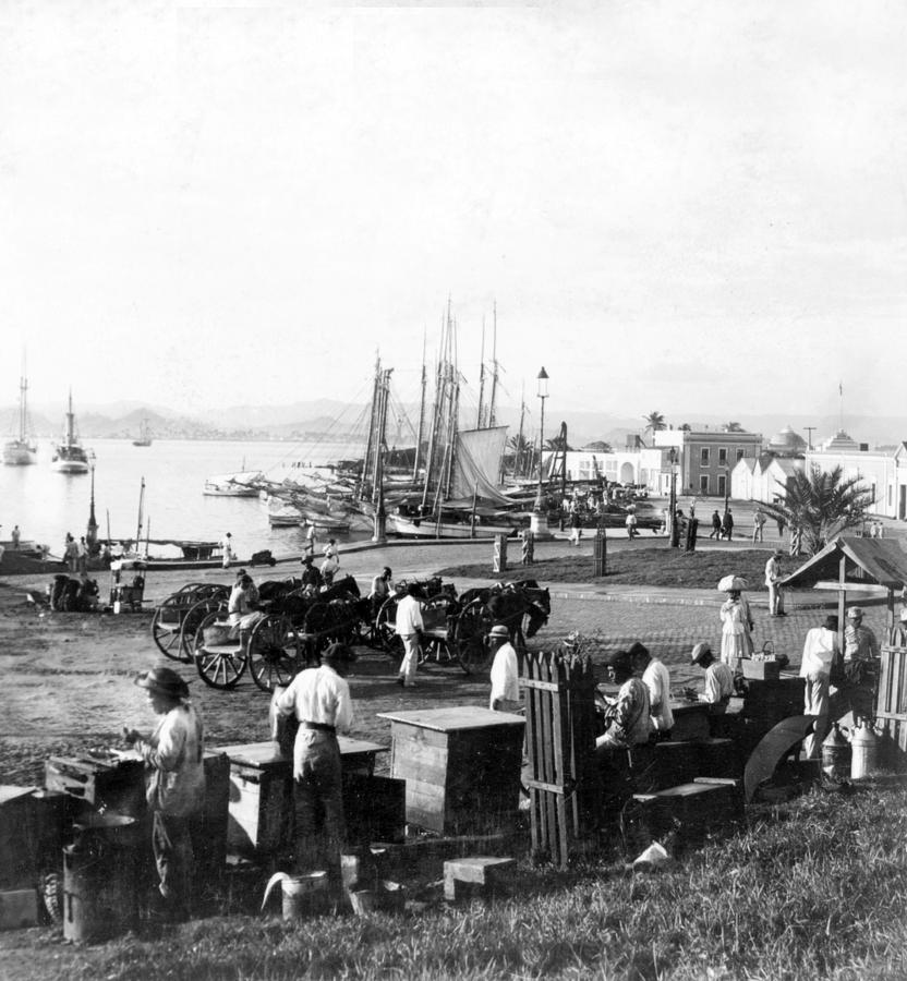 San Juan Harbor - Puerto Rico - c 1900 Photograph by International  Images