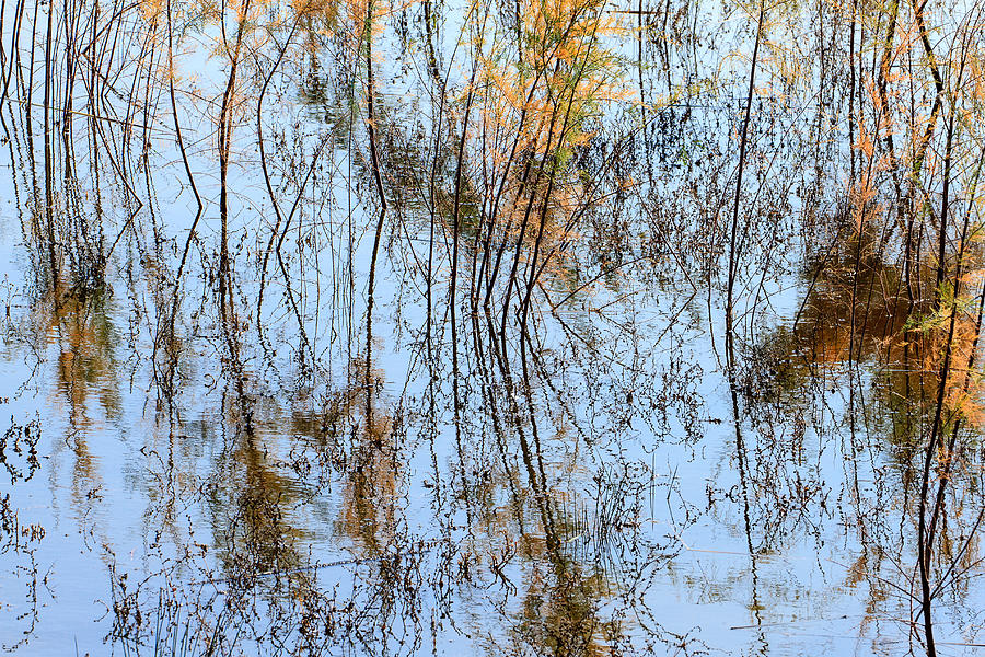 San Luis Rey River Abstract Photograph by Ben Graham