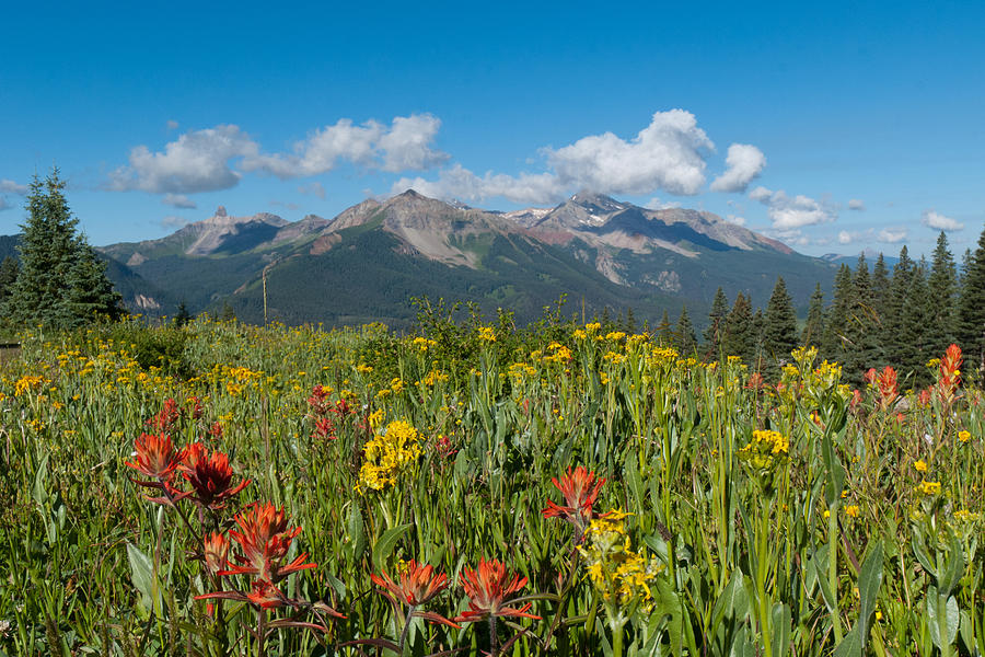 San Miguel Mountains Photograph by Cascade Colors