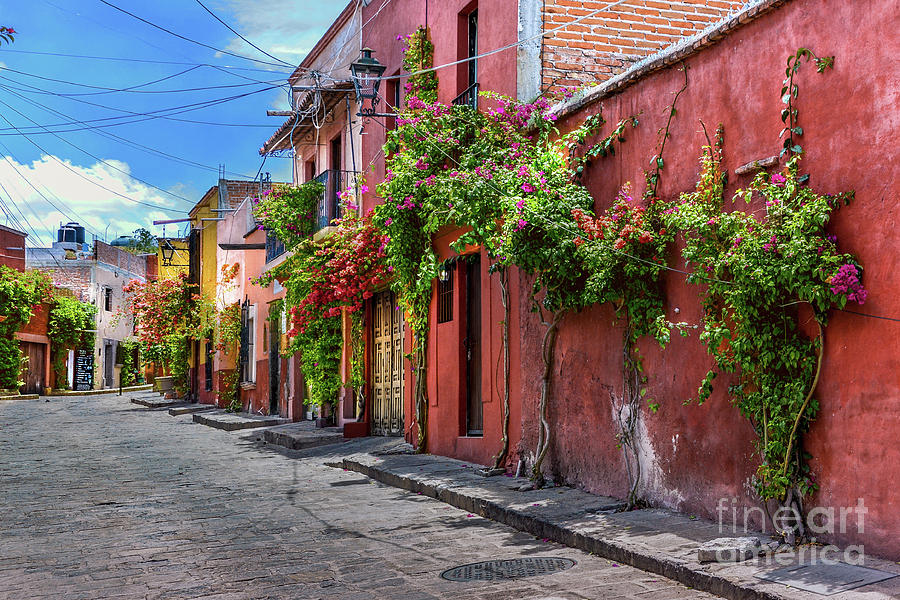 San Miguel Streets Photograph by David Meznarich